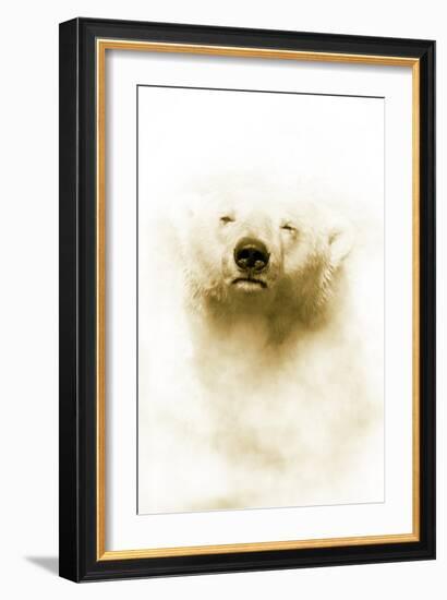 Polar Bear-Victor Habbick-Framed Photographic Print