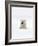 Polar Bear-Louise Murray-Framed Photographic Print