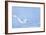 Polar Bear-Louise Murray-Framed Photographic Print