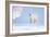 Polar Bear-Louise Murray-Framed Photographic Print