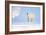 Polar Bear-Louise Murray-Framed Photographic Print