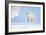 Polar Bear-Louise Murray-Framed Photographic Print