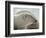 Polar Bear-George Lepp-Framed Photographic Print