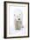 Polar Bear-null-Framed Photographic Print