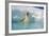 Polar Bear-null-Framed Photographic Print