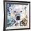 Polar Bear-James Grey-Framed Giclee Print