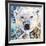 Polar Bear-James Grey-Framed Giclee Print