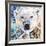 Polar Bear-James Grey-Framed Giclee Print