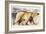 Polar Bear-Mark Adlington-Framed Giclee Print