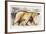 Polar Bear-Mark Adlington-Framed Giclee Print