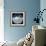 Polar Bear-Jeff Tift-Framed Giclee Print displayed on a wall
