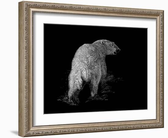 Polar Bear-Geraldine Aikman-Framed Giclee Print