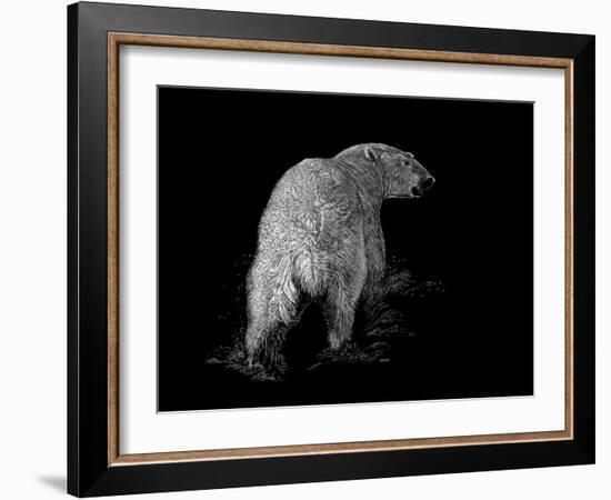 Polar Bear-Geraldine Aikman-Framed Giclee Print