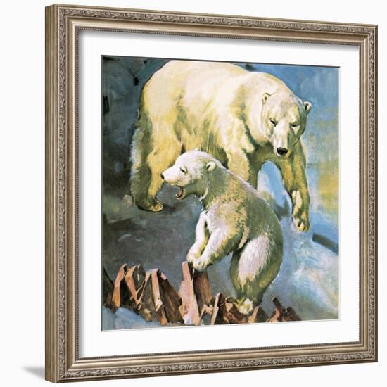 Polar Bear-McConnell-Framed Giclee Print