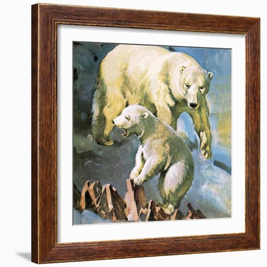 Polar Bear-McConnell-Framed Giclee Print