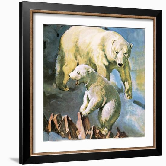 Polar Bear-McConnell-Framed Giclee Print