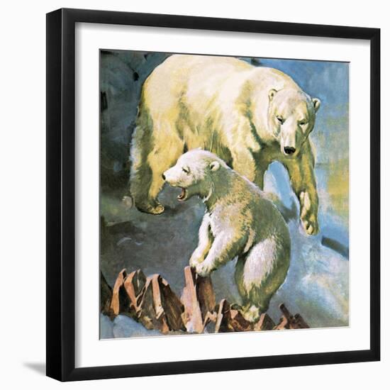 Polar Bear-McConnell-Framed Giclee Print