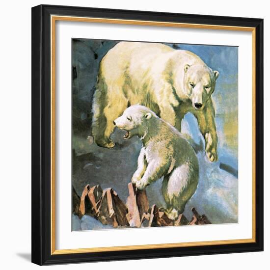 Polar Bear-McConnell-Framed Giclee Print