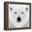 Polar Bear-PhotoINC Studio-Framed Premier Image Canvas