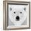 Polar Bear-PhotoINC Studio-Framed Photographic Print