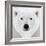 Polar Bear-PhotoINC Studio-Framed Photographic Print