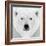 Polar Bear-PhotoINC Studio-Framed Photographic Print