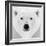 Polar Bear-PhotoINC Studio-Framed Photographic Print