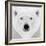 Polar Bear-PhotoINC Studio-Framed Photographic Print