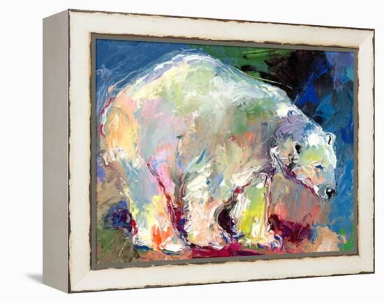 Polar Bear-Richard Wallich-Framed Stretched Canvas