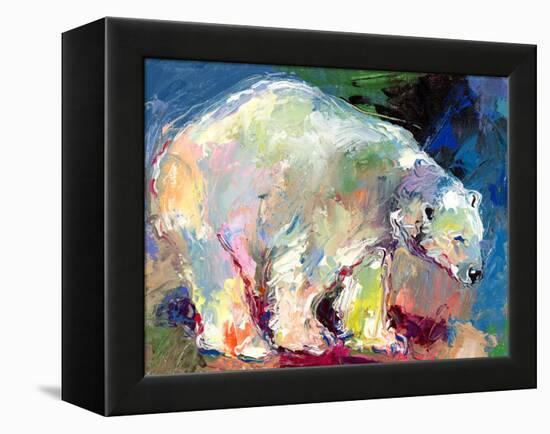 Polar Bear-Richard Wallich-Framed Stretched Canvas