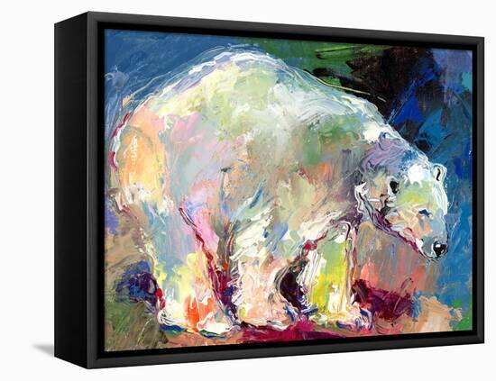 Polar Bear-Richard Wallich-Framed Stretched Canvas