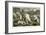 Polar Bears Attacking an Explorer's Cache, or Depot-null-Framed Giclee Print