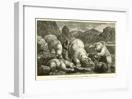 Polar Bears Attacking an Explorer's Cache, or Depot-null-Framed Giclee Print