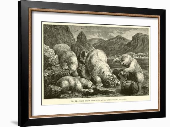Polar Bears Attacking an Explorer's Cache, or Depot-null-Framed Giclee Print
