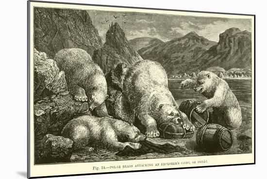 Polar Bears Attacking an Explorer's Cache, or Depot-null-Mounted Giclee Print