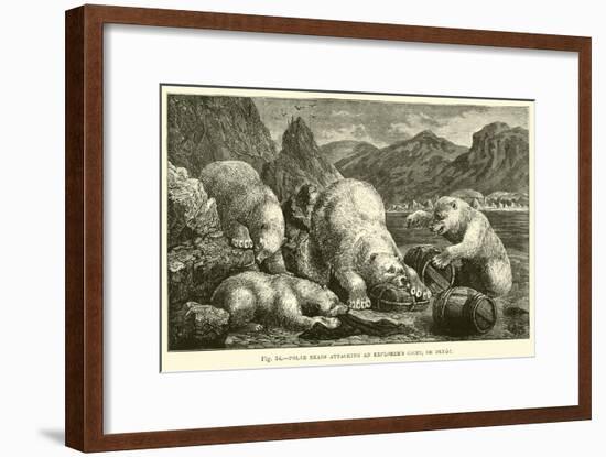 Polar Bears Attacking an Explorer's Cache, or Depot-null-Framed Giclee Print