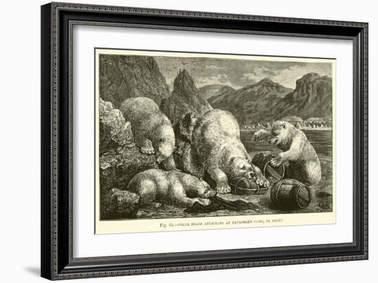 Polar Bears Attacking an Explorer's Cache, or Depot-null-Framed Giclee Print