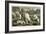 Polar Bears Attacking an Explorer's Cache, or Depot-null-Framed Giclee Print