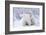 Polar Bears, Female and Two Cubs, Churchill Wildlife Area, Mb-Richard ans Susan Day-Framed Photographic Print