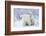 Polar Bears, Female and Two Cubs, Churchill Wildlife Area, Mb-Richard ans Susan Day-Framed Photographic Print