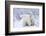 Polar Bears, Female and Two Cubs, Churchill Wildlife Area, Mb-Richard ans Susan Day-Framed Photographic Print