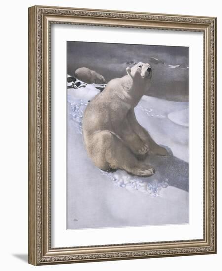 Polar Bears in Snow-Carl Ederer-Framed Giclee Print