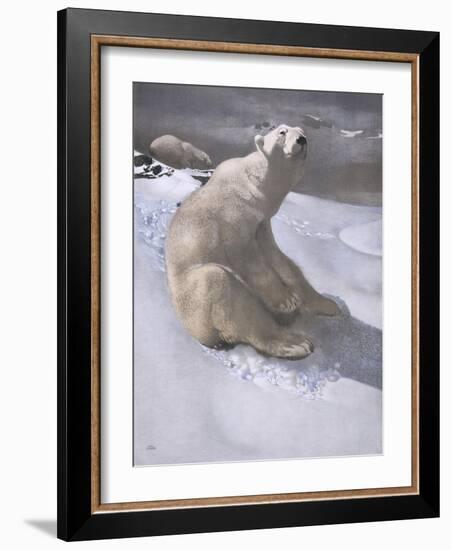 Polar Bears in Snow-Carl Ederer-Framed Giclee Print