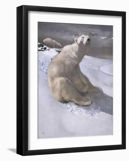 Polar Bears in Snow-Carl Ederer-Framed Giclee Print