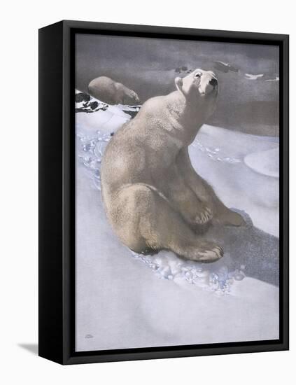 Polar Bears in Snow-Carl Ederer-Framed Premier Image Canvas