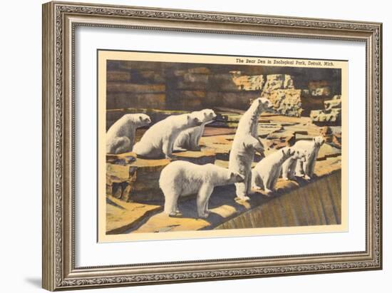 Polar Bears in Zoo, Detroit, Michigan-null-Framed Art Print