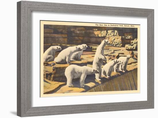 Polar Bears in Zoo, Detroit, Michigan-null-Framed Art Print