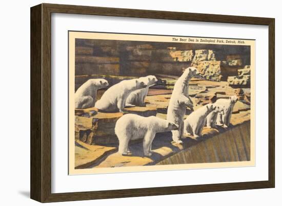 Polar Bears in Zoo, Detroit, Michigan-null-Framed Art Print