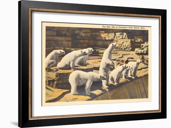 Polar Bears in Zoo, Detroit, Michigan-null-Framed Art Print