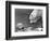 Polar Bears Looking at Each Other-Bill Varie-Framed Photographic Print